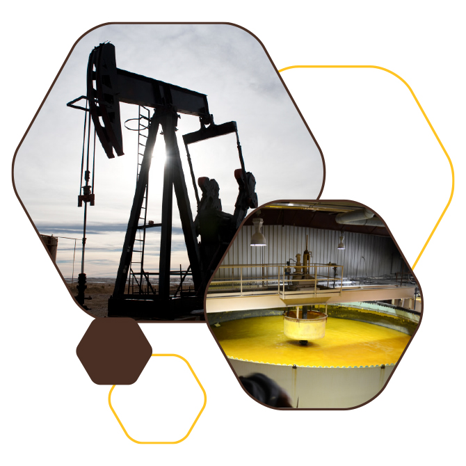wyomings energy future