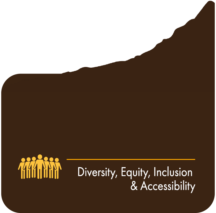 Diversity, Equity, Inclusion and Accessibility