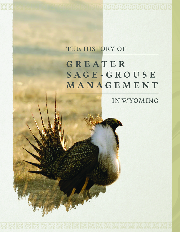 Sage Grouse