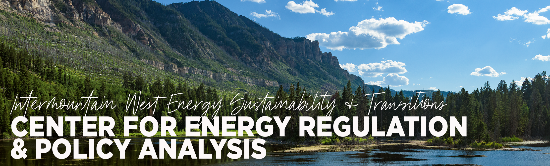 Center for Energy Regulation and Policy Analysis I-West