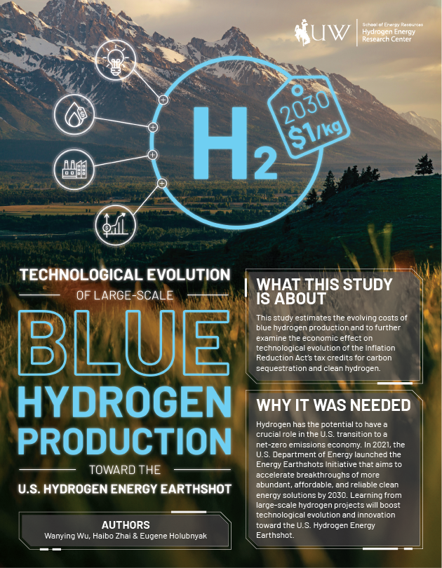 Blue Hydrogen