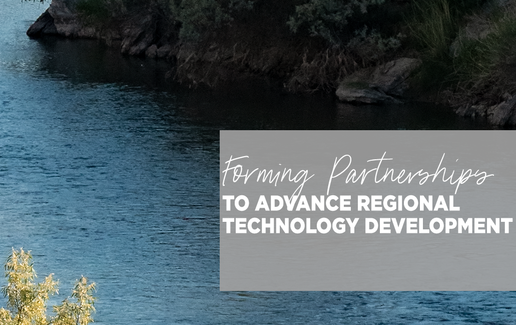 Forming partnerships to advance regional technology developmnent