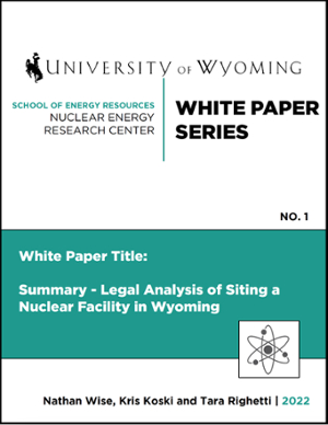 nerc white paper 1