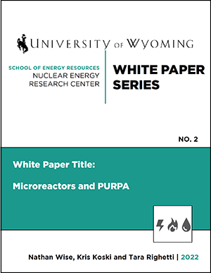 nerc white paper 2