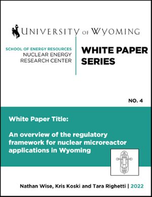 nerc white paper 4