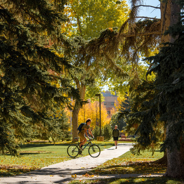 Bicyclist on Prexies Pasture