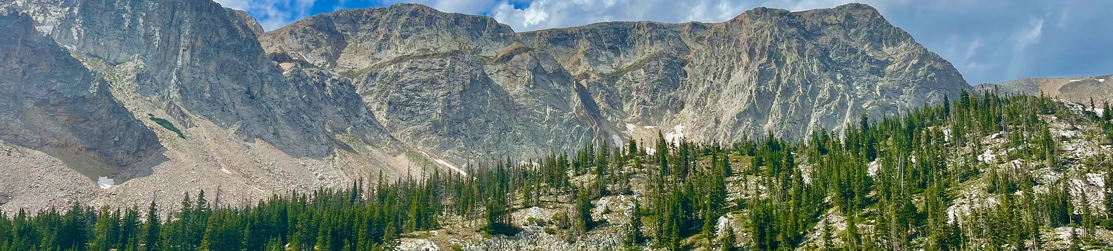 medicine bow mountains