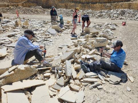 Summer cohort digging for fossils