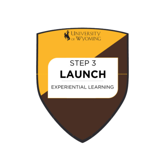 step 3 launch
