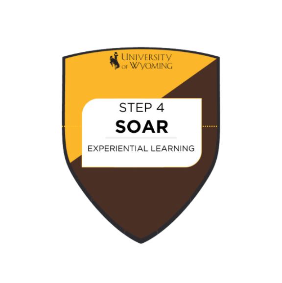 soar badge step 4