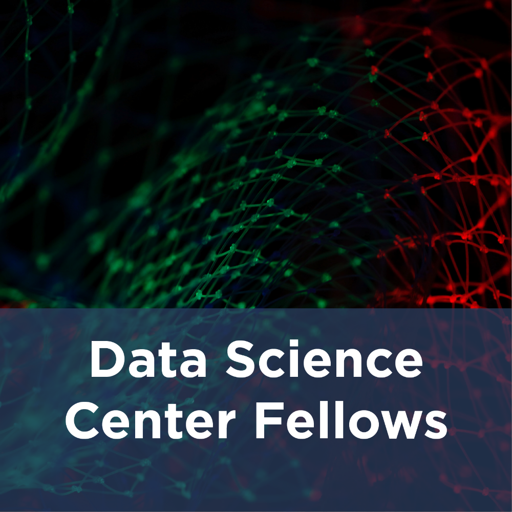 data science center fellows icon - netowrk of nodes