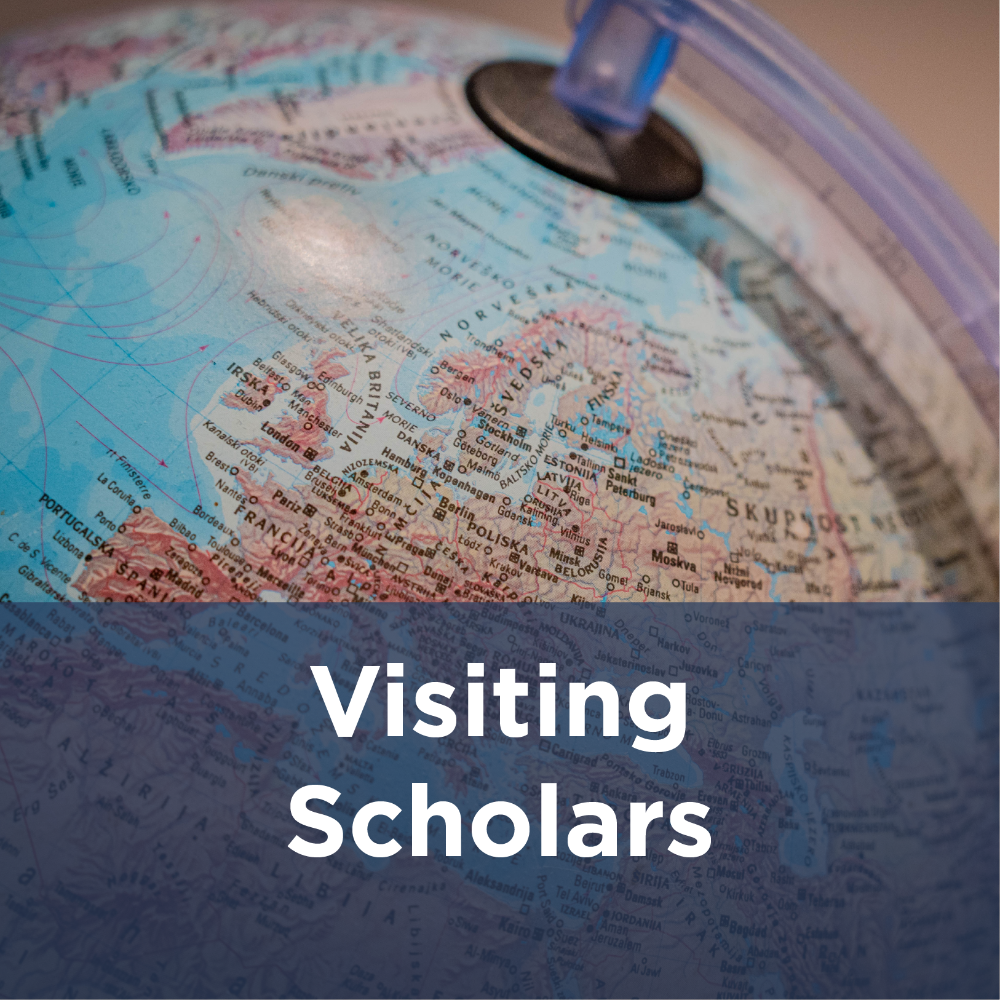 visiting scholars icon - image of a globe