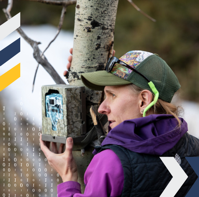 Woman sets up a field cam outside