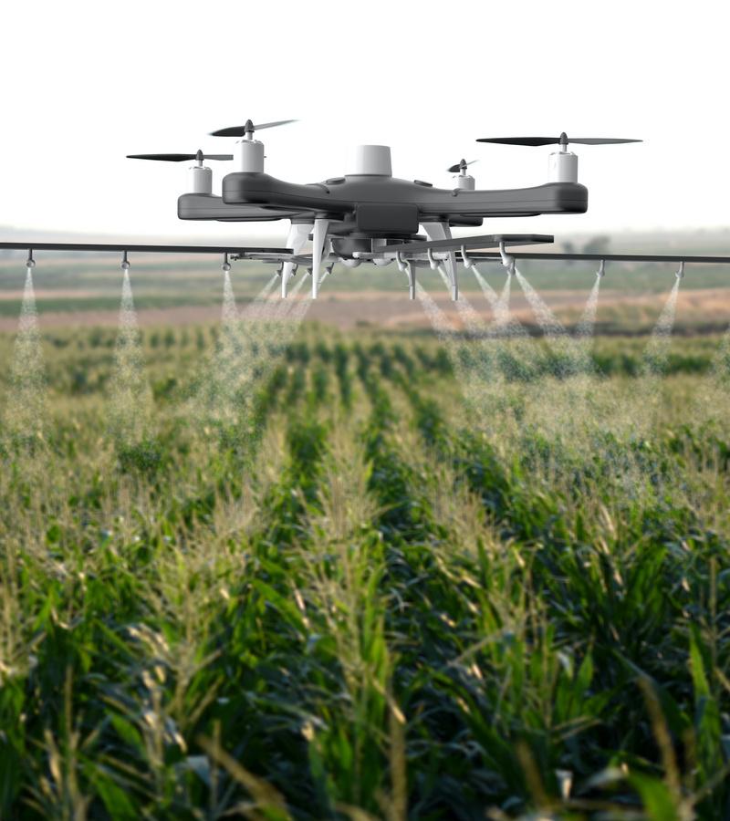 Drone spraying a cornfield.
