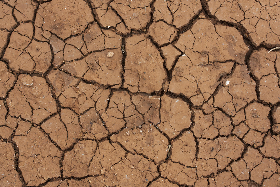Image of the ground cracked apart from drying out.