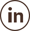 LinkedIn icon