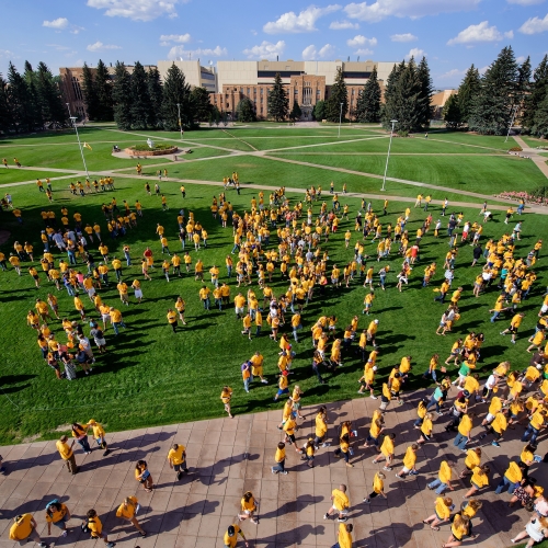 Aerial photo of a large group of people all wearing yellow shirts standing on a grassy area.