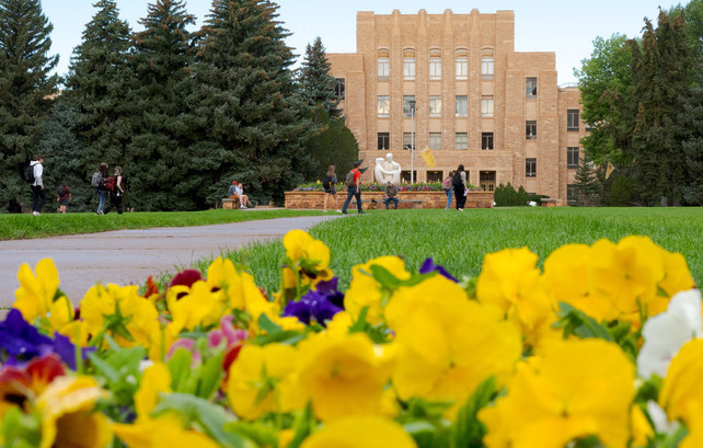 photo of the Arts and Sciences building as viewed from across Pexy's Pasture, flowers are framed in the foreground