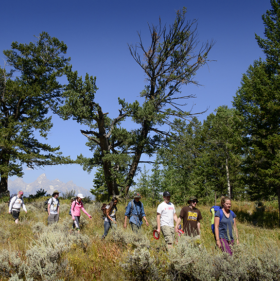 Students in the woods conducting field research 