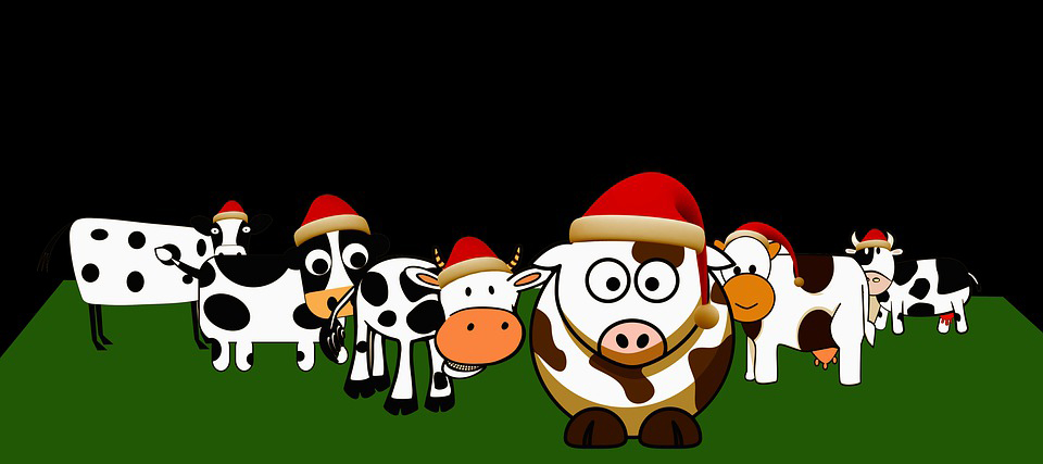 christmas-cows-4440669_960_720.jpg