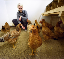 Teacher with chickens