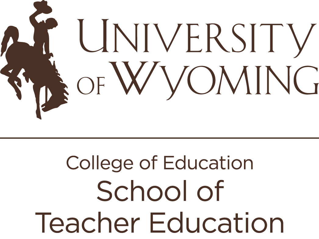 STE logo