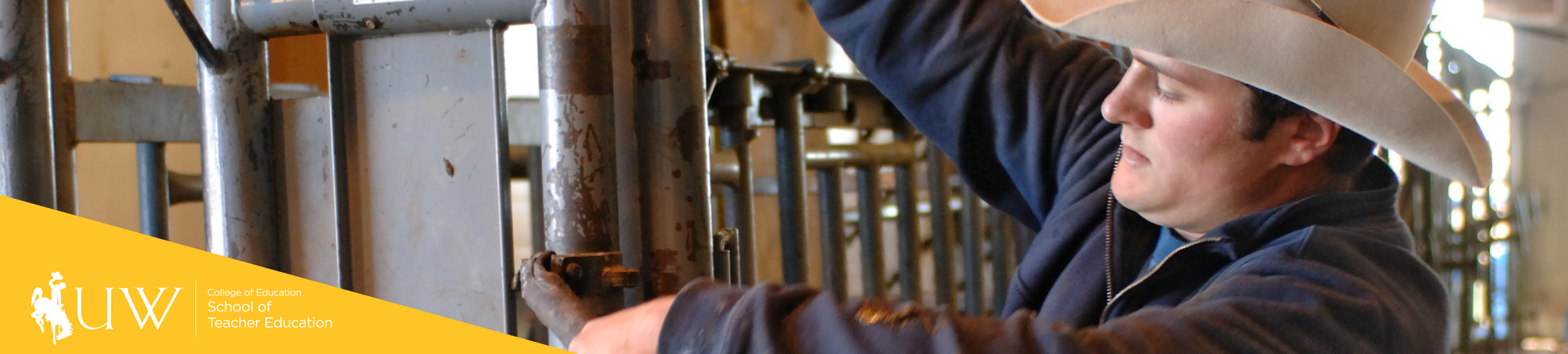 A secondary ag ed major runs the chute to catch cattle 