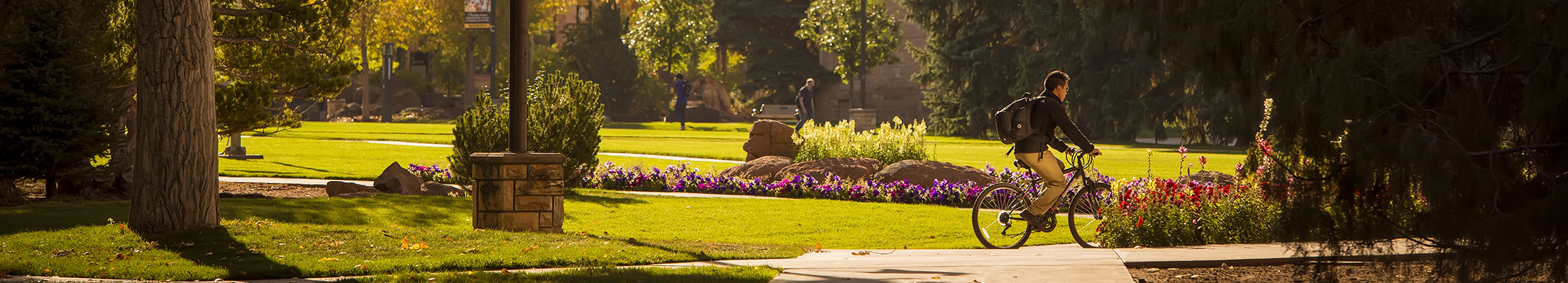 scenic photo of uw campus