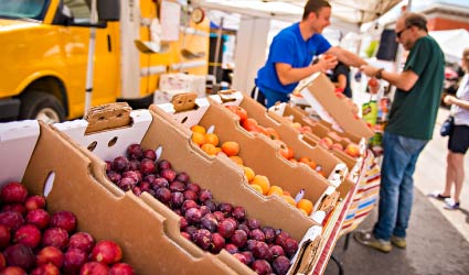 Farmer's Market