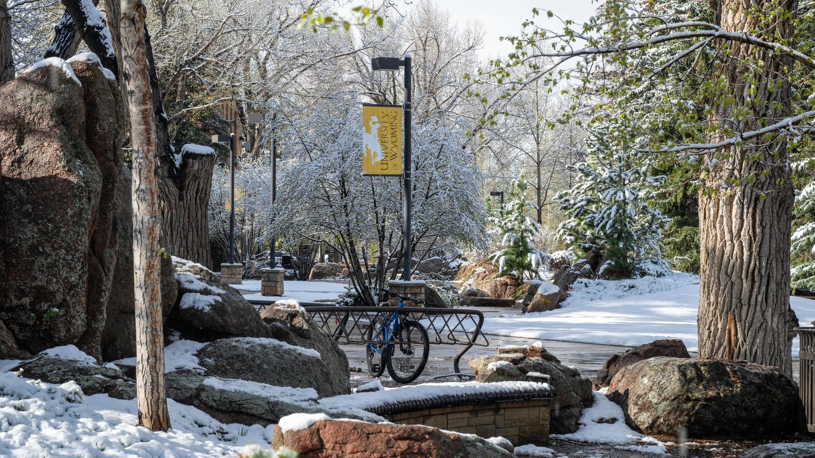 A photo of a snowy campus, with a window in the trees, showing a bike rack and sidewalk near Prexy's Pasture