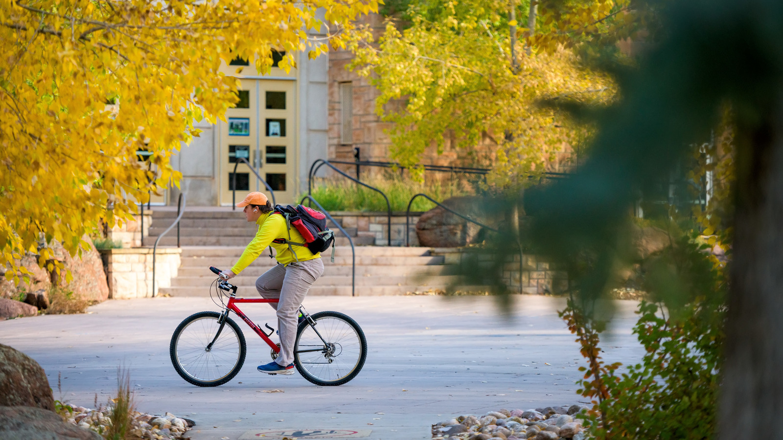 A photo on UW campus, looking through a window in the trees with fall leaves, showing a bicycle rider in front of a campus building