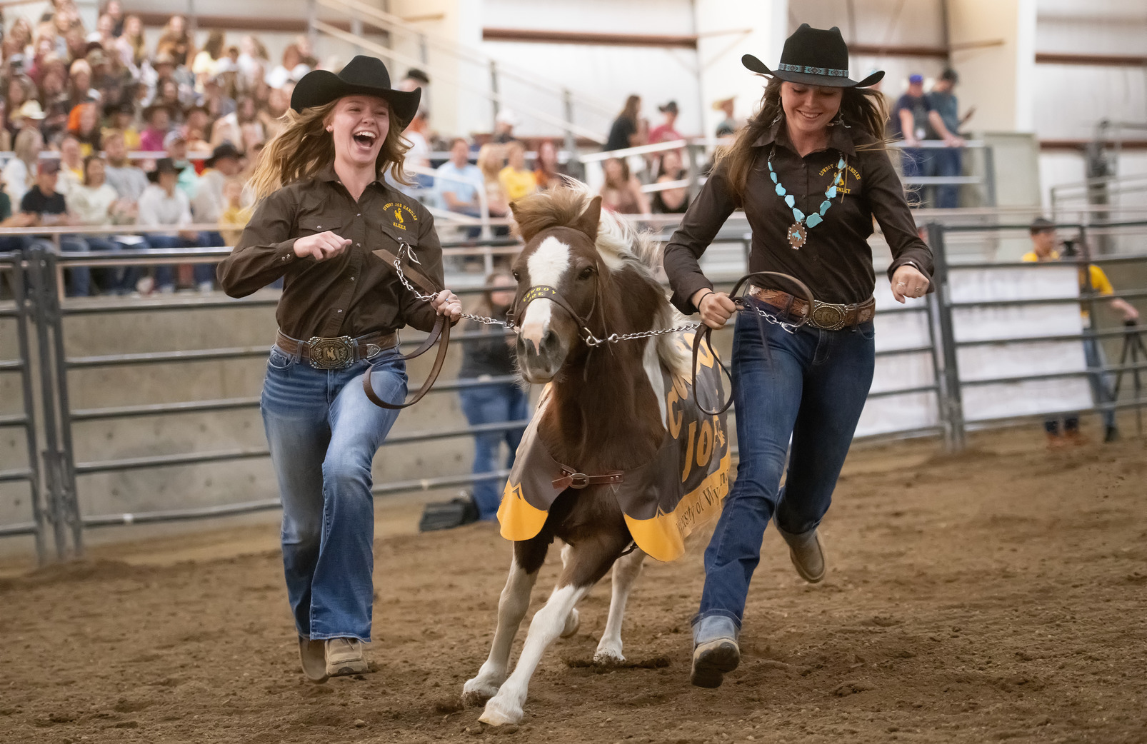 Cowboy Joe, UW's favorite pony, runs across the arena with his handlers.