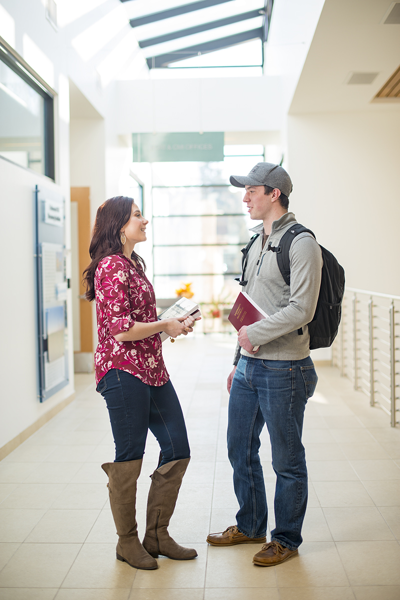 Student meeting with their adviser