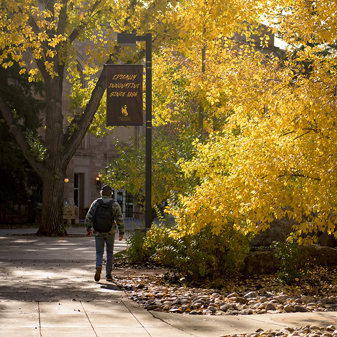 Students walking on a path by the Union