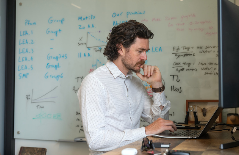 A faculty member looks at their laptop with mathmatical equations written on a white board in the background.
