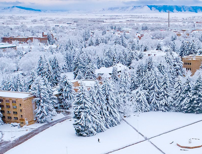 Campus with snow