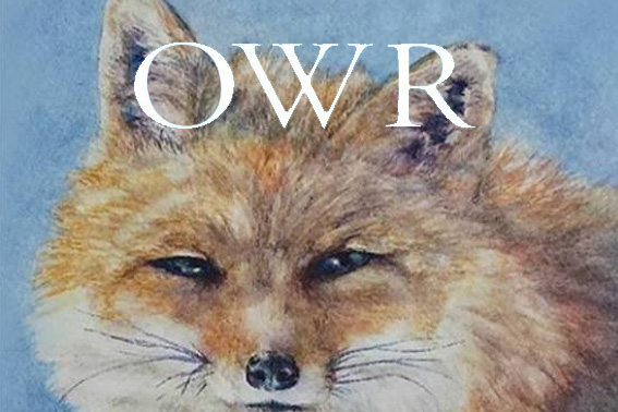 Owen Wister Review