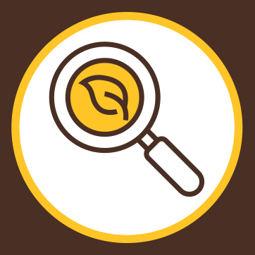 Magnifying glass with leaf