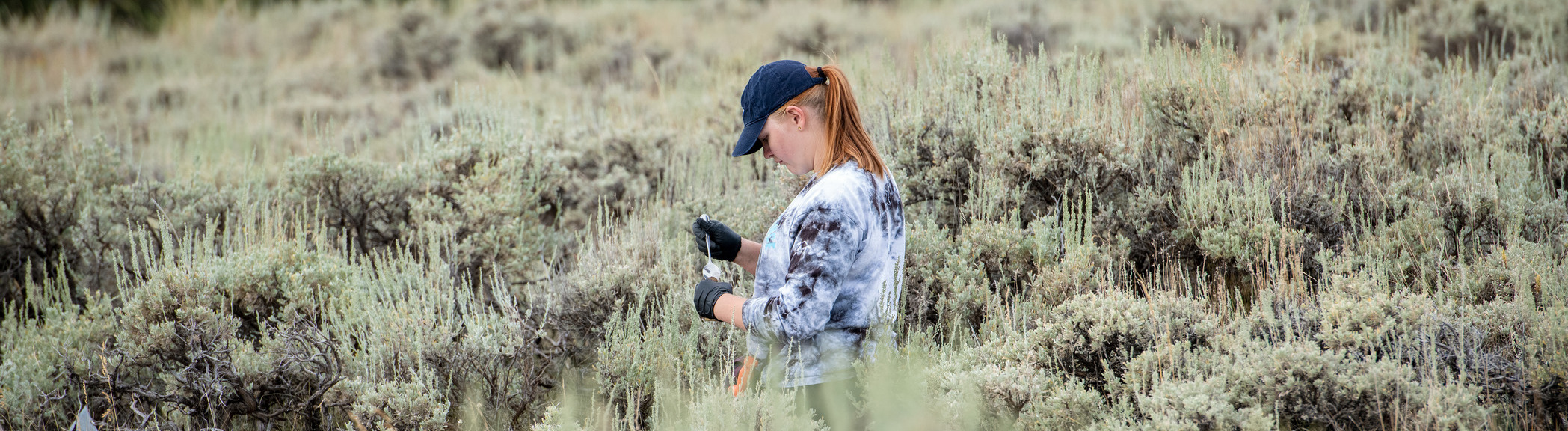 Student doing field research