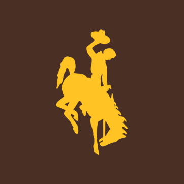 gold uwyo steamboat with brown background