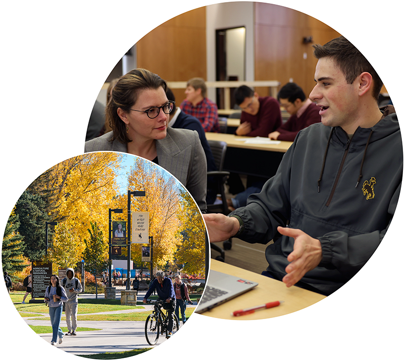 campus and students 