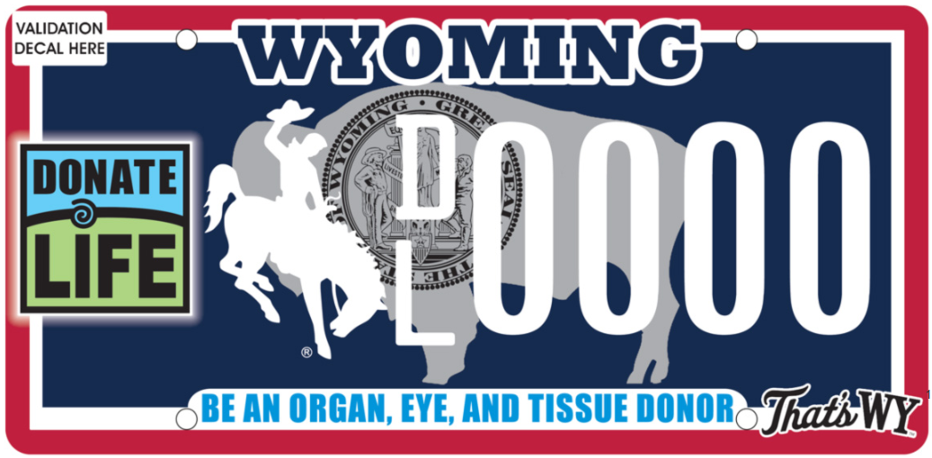 wyoming veteran navy example