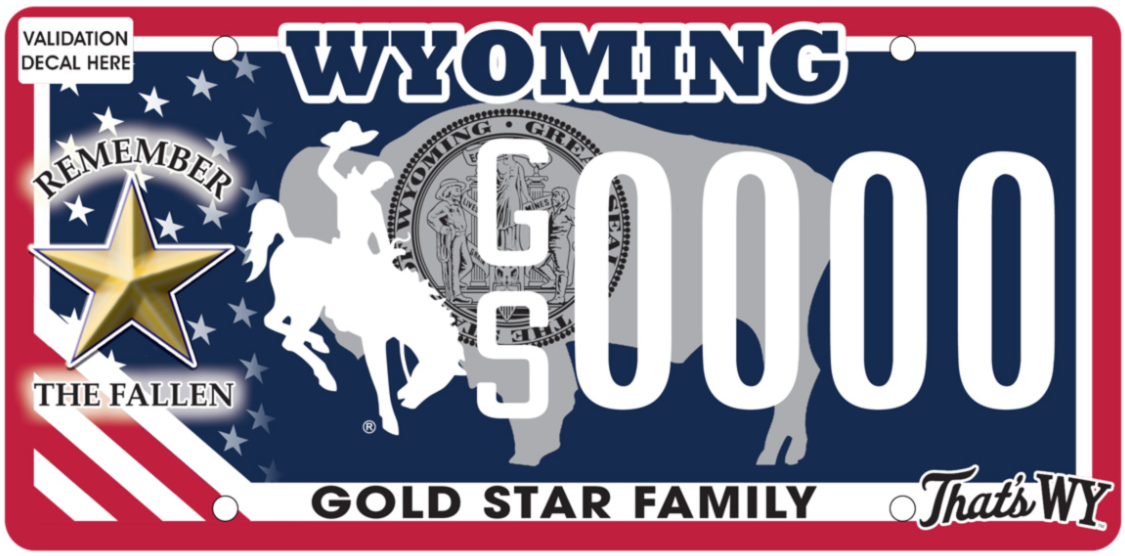 wyoming veteran navy example