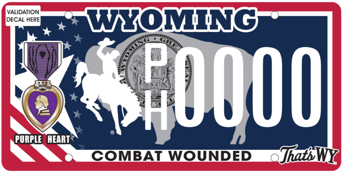 wyoming veteran navy example