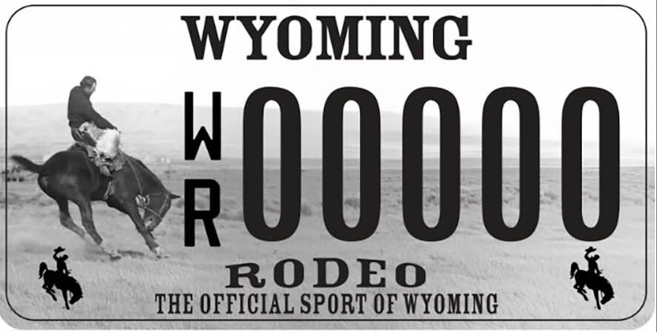 wyoming rodeo example