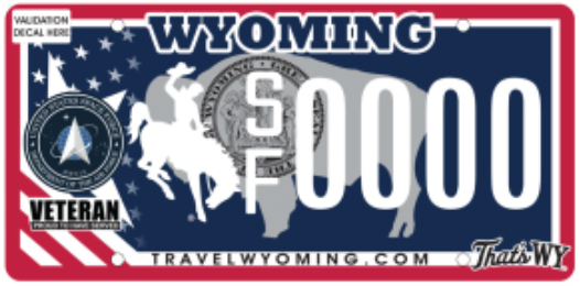 wyoming veteran navy example