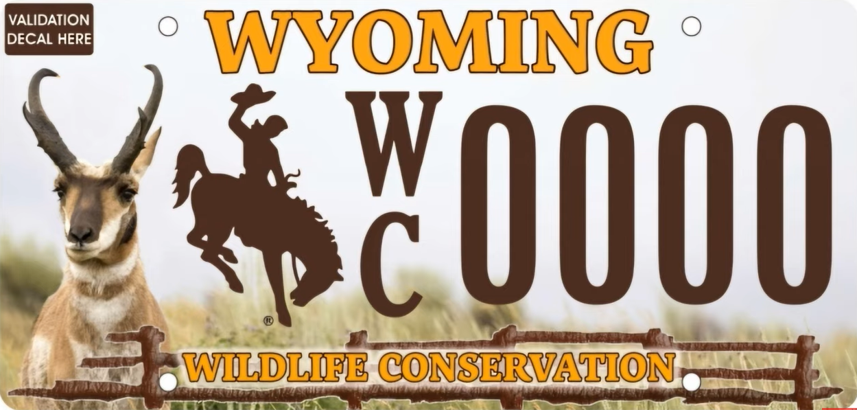 wyoming veteran navy example