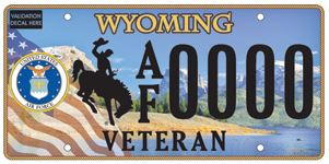 wyoming veteran air force example