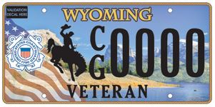 wyoming veteran coast guard example