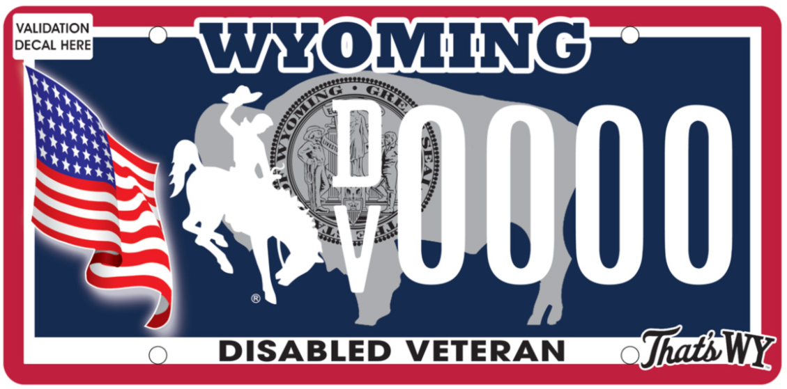 wyoming disable vet example